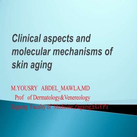 Clinical aspects and molecular diagnostics of skin aging