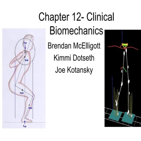 Clinical biomechanics