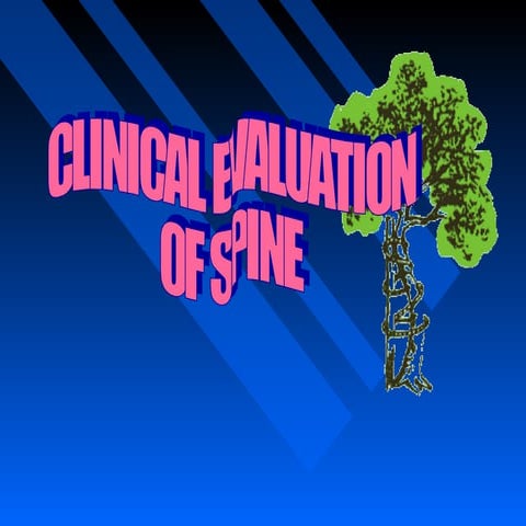 Clinical evaluation of spine