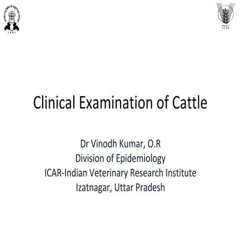 Clinical examination of Cattle