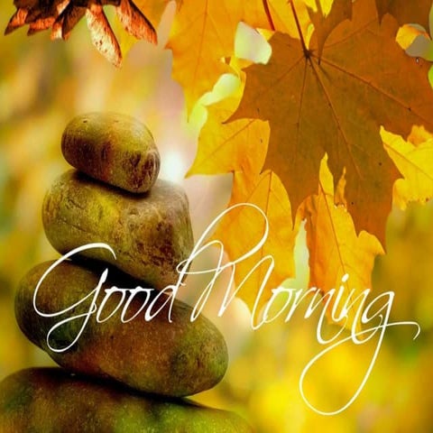 Clinical features and stages of gingivitis   