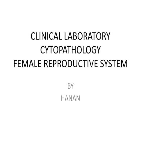 Female reproductive system