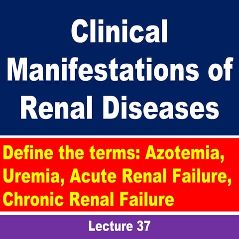 Clinical manifestations of renal diseases st