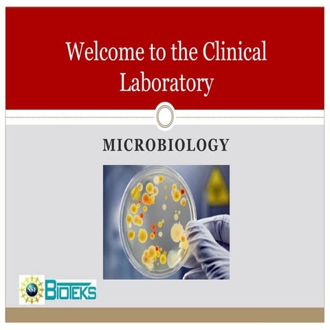 Clinical Micro.pptx