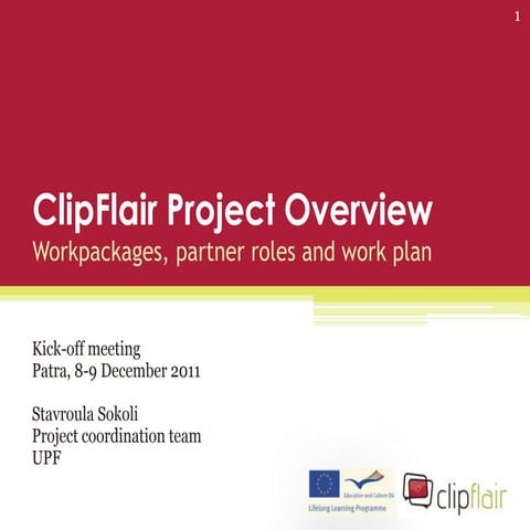 ClipFlair project overview