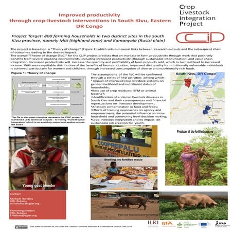 Improved productivity through crop-livestock interventions in South Kivu, eas...
