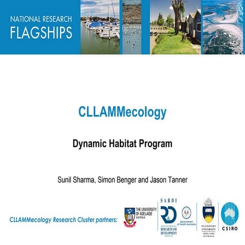 Dynamic Habitat - CLLAMM technical briefing