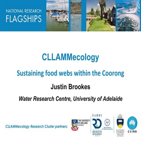 Sustaining Food Webs within the Coorong - CLLAMM technical briefing