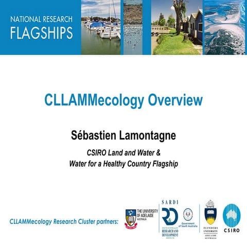 Overview - CLLAMM technical briefing