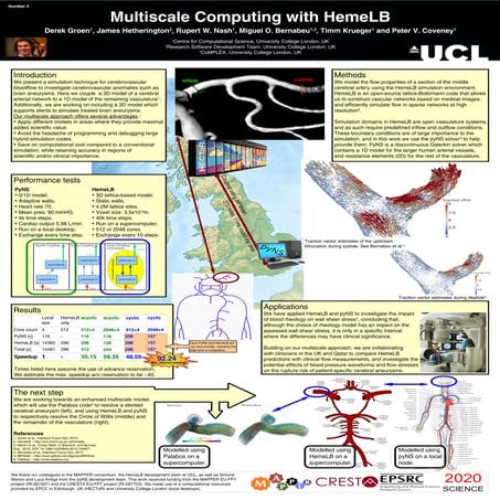 Multiscale modelling of brain bloodflow using HemeLB and Python Navier Stokes...