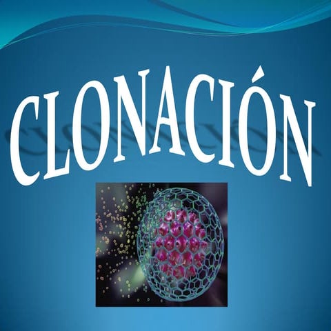 Clonación