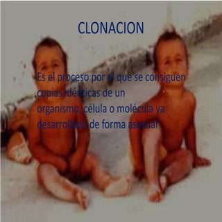 Clonacion