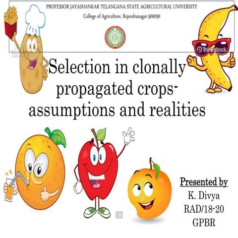 selection in clonally propagated crops assumtions and realities