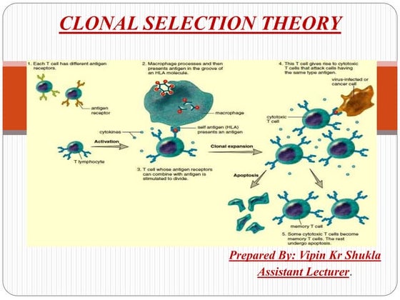 Classification three domain system | PPT