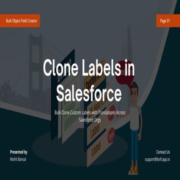 Clone Labels in Salesforce with Bulk object field creator | PDF