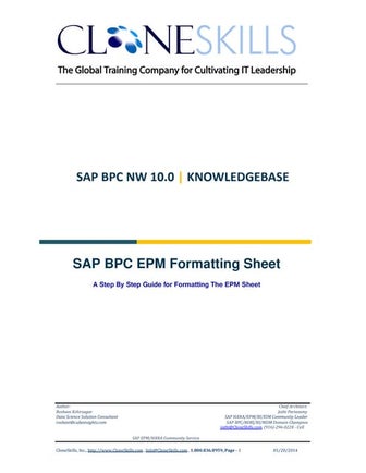 Step by step guide to formatting the SAP BPC EPM Sheet