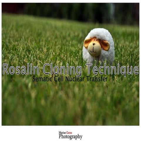 Doug Foster: Bell 2: Rosalin Method