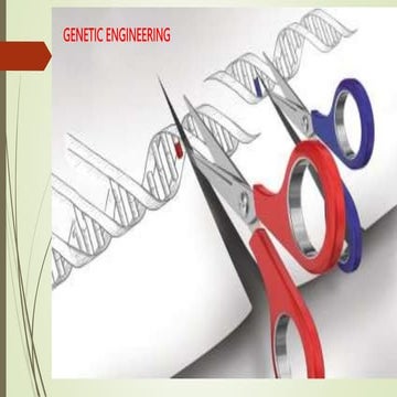 cloning vectors-genetic engineering.pptx