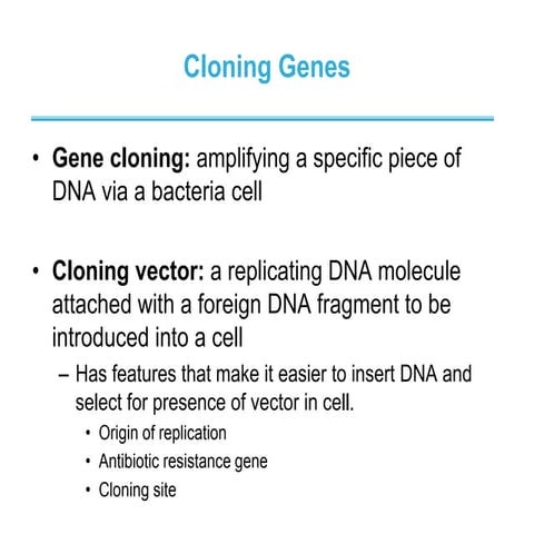 cloning and transformation.ppt
