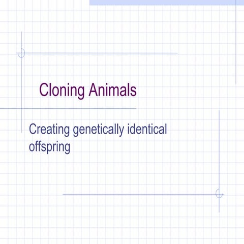 A2 Cloning animals