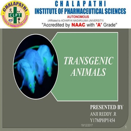 TRANSGENIC ANIMALS
