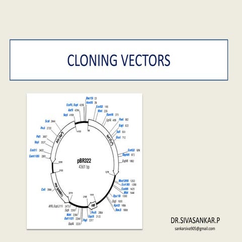 Cloning vectors