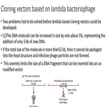 Cloning vectors