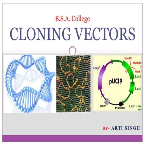 Cloning vectors