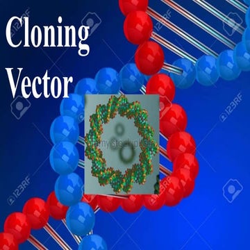 cloning vectors.ppt