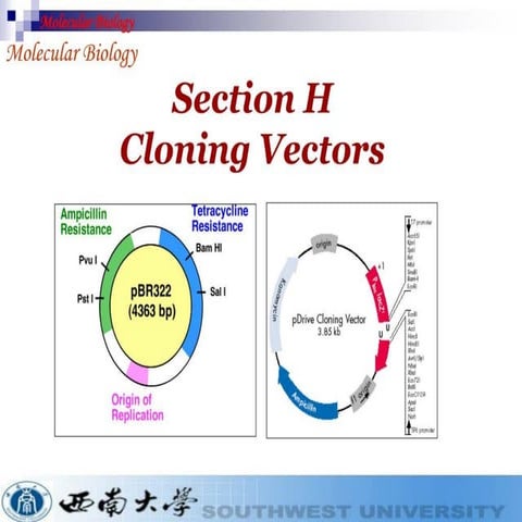 Cloning vectors for genetic engineerings | PDF