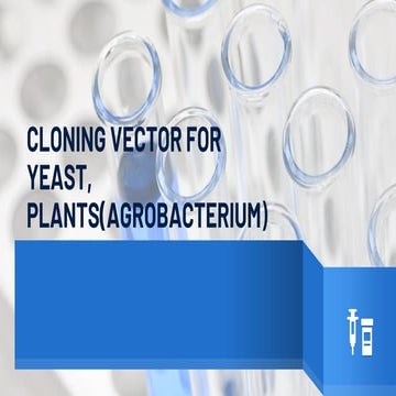 CLONING VECTORS FOR YEAST AND Agrobacterium tumefaciens.pptx