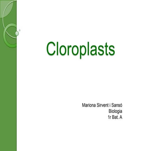 Cloroplast