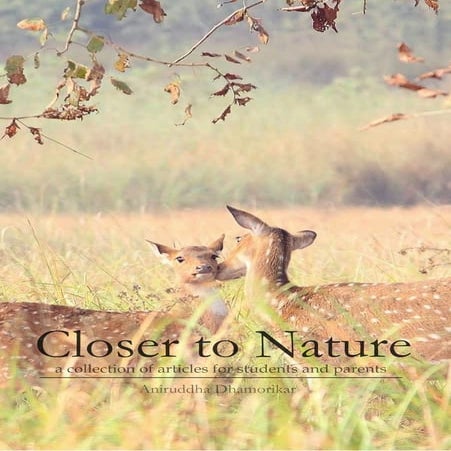 Closer to Nature