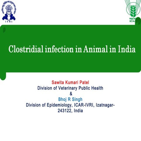 Clostridial infections in animals in India