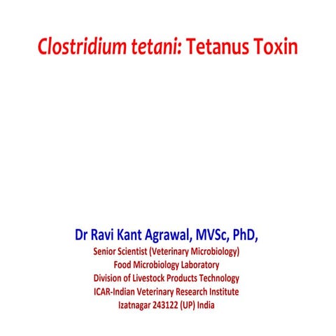 Clostridial toxins:  tetanus toxin