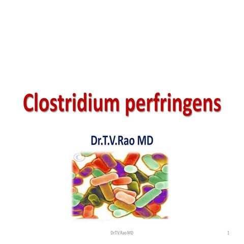 Clostridium