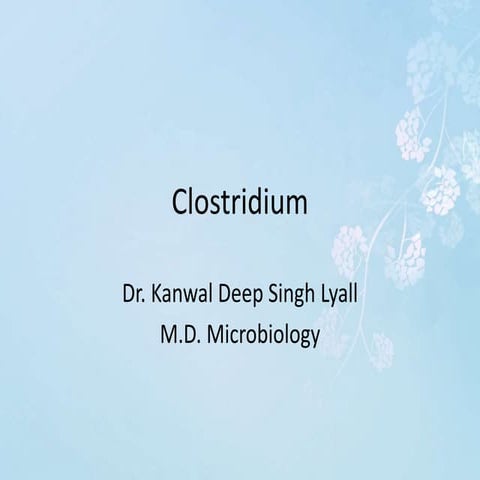 Clostridium