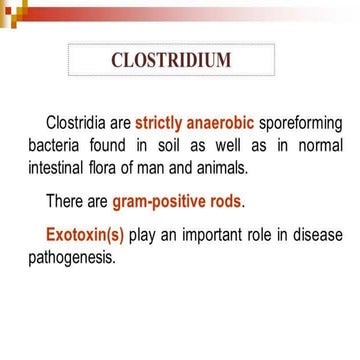 Clostridium
