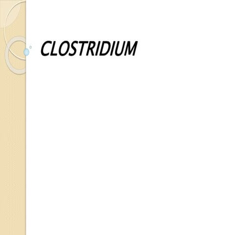Clostridium