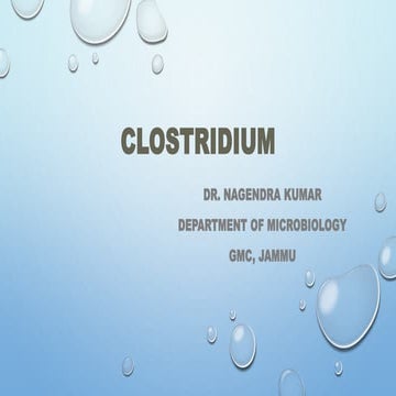 CLOSTRIDIUM and its laboratory diagnosis.pptx