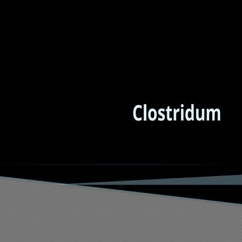 clostridium full detail and explanation.