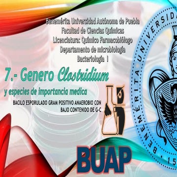 Clostridium clase teorica