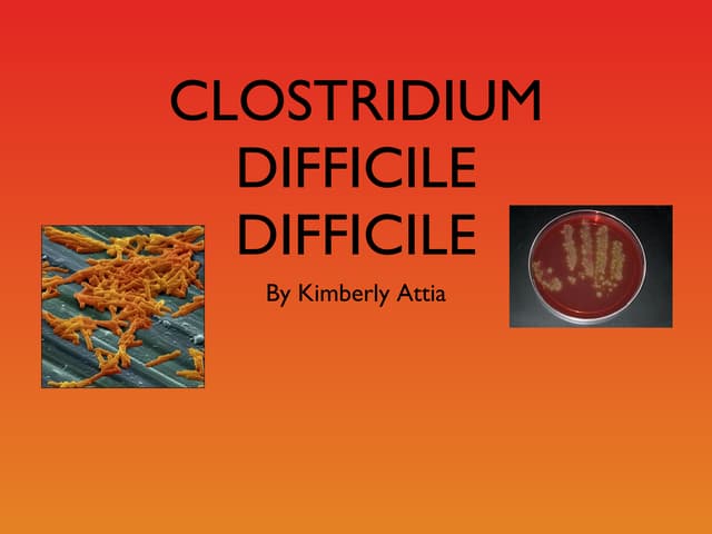 Clostridium difficile powerpoint presentation | PPTX