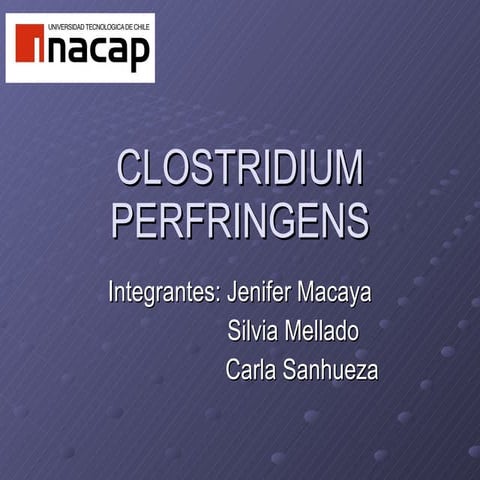 Clostridium Perfringens Diapo