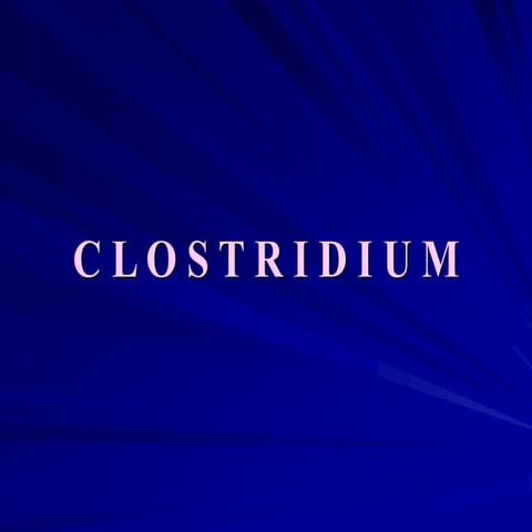 Clostridium spp..ppt