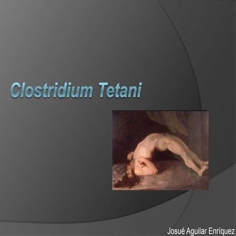 Clostridium tetani