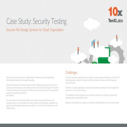Case Study: Security Testing