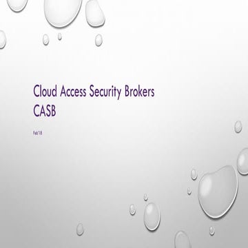 Cloud Access Security Brokers