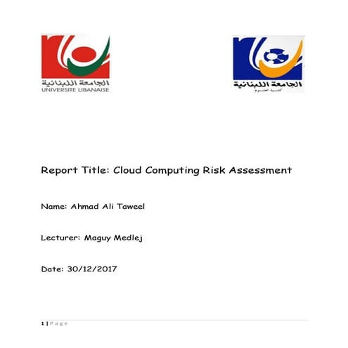 Cloud computing risk assesment report