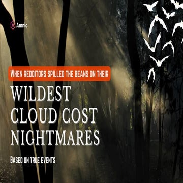 Redditors Share Their Cloud Cost Horror Stories with Amnic | PDF